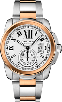 Steelness Steel watch